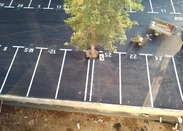 Fenix Hedonic * Divčibare